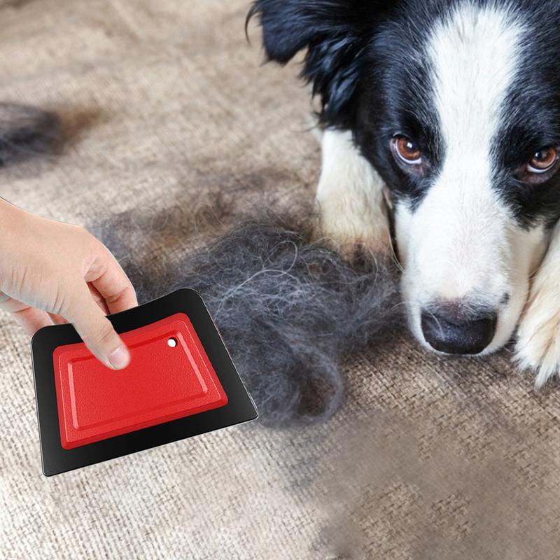 Peigne épilateur pour animaux  - Detailing Brush Set avis et prix